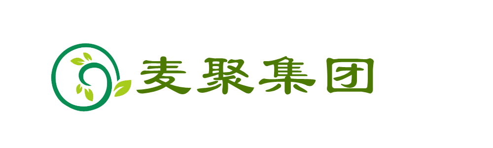 麥聚科技集團(tuán)股份有限公司